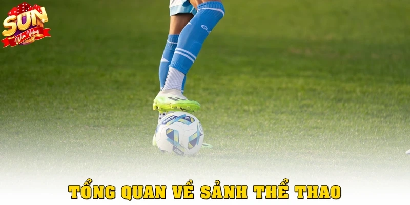 Tổng quan về sảnh Thể thao